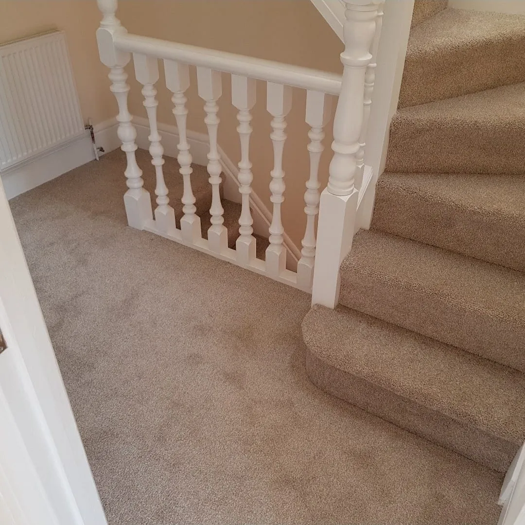 Carpets Southend